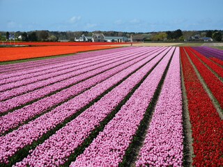 Vakantiehuis Noordwijk Omgeving 25