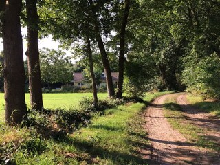 Vakantiehuis Heino Omgeving 33