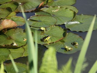 Casa de vacaciones Heino  38