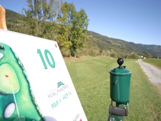 Chalet Stadl an der Mur Omgeving 25