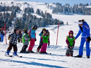 Chalet Stadl an der Mur Ambiente 33