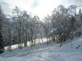 Chalet Stadl an der Mur Ambiente 32
