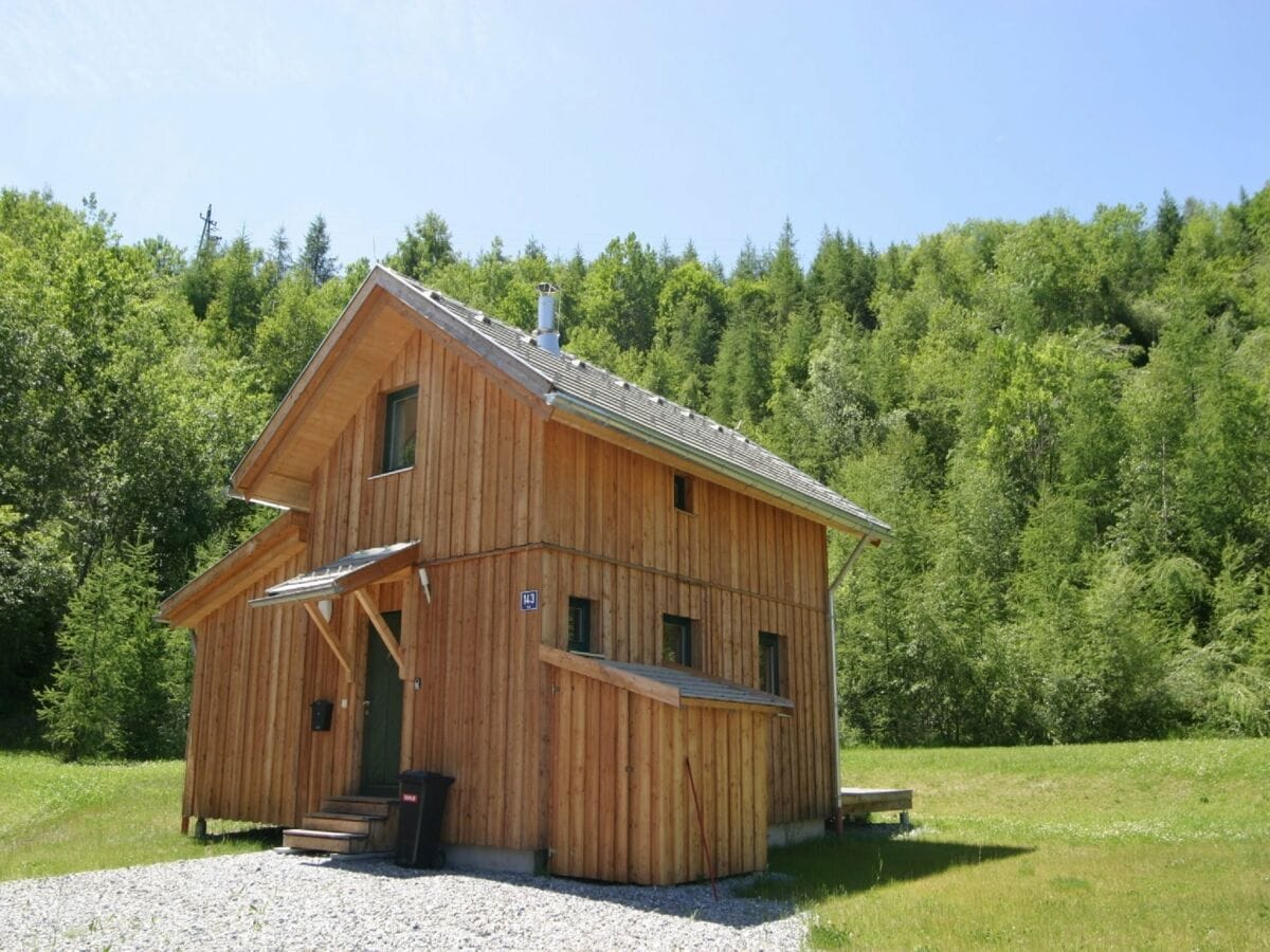 Chalet Stadl an der Mur Außenaufnahme 1