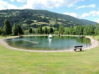 Chalet Stadl an der Mur Omgeving 27