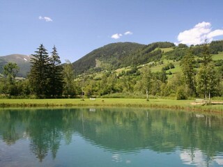 Chalet Stadl an der Mur Umgebung 26