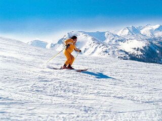 Chalet Predlitz Ambiente 26