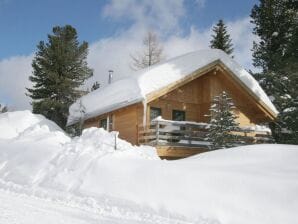 Chalet in Turracherhöhe/Steiermark nahe Skigebiet - Murau - image1