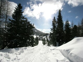 Chalet Turracherhöhe Entorno 21