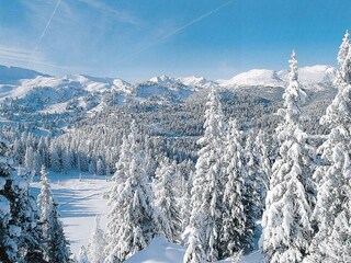 Chalet Turracherhöhe Umgebung 22