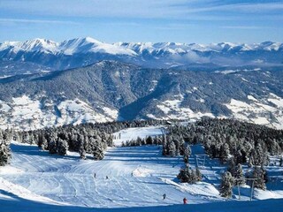 Chalet Turracherhöhe Ambiente 18