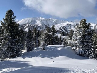 Apartment Schladming Environment 40