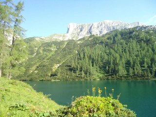 Appartement Tauplitz Environnement 20