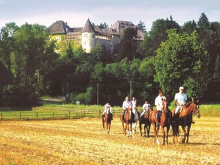 Trailer Eberndorf Environment 14