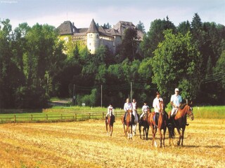 Caravan Eberndorf Omgeving 17