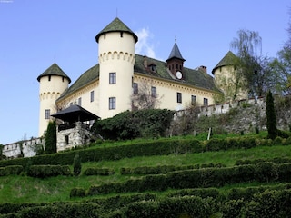 Trailer Eberndorf Environment 20