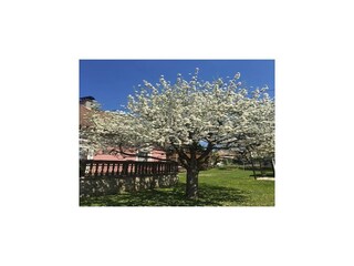 Apartamento Eberndorf Grabación al aire libre 7