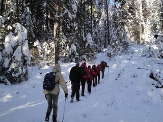 Appartamento St. Georgen im Lavanttal Ambiente 19