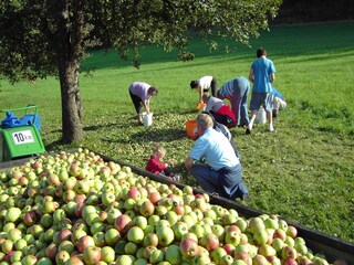 Appartamento St. Georgen im Lavanttal Ambiente 24