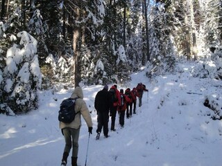 Appartement St. Georgen im Lavanttal Environnement 22