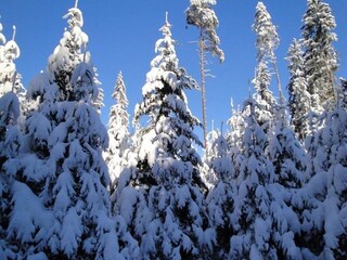 Apartamento St. Georgen im Lavanttal Entorno 25