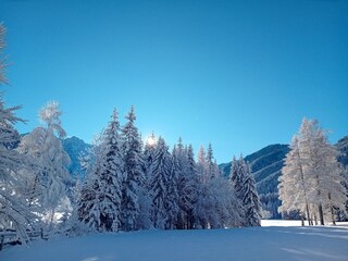 Apartamento Ferlach Entorno 28