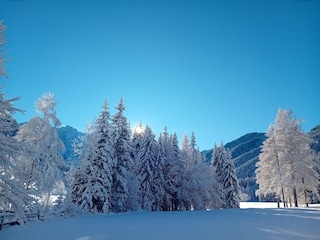 Appartement Ferlach Environnement 28