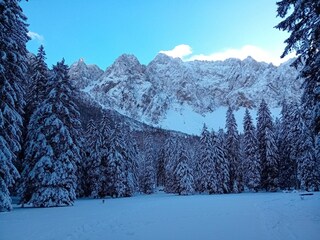 Apartamento Ferlach Entorno 29