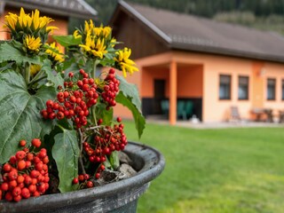 Bungalow Weitensfeld im Gurktal  34