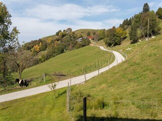 Ferienhaus Eberstein Außenaufnahme 10