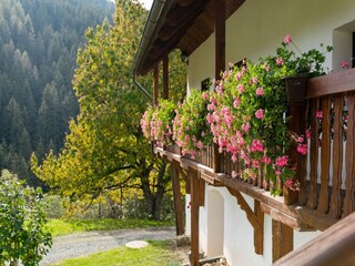 Holiday house Eberstein Outdoor Recording 3