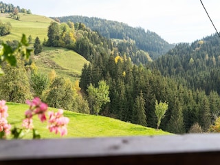 Maison de vacances Eberstein Enregistrement extérieur 3