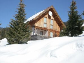 Ferienhaus Almhütte Weinebene mit Sauna auf der Weinebene - Weinebene - image1