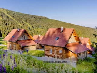 Ferienhaus Weinebene Außenaufnahme 13