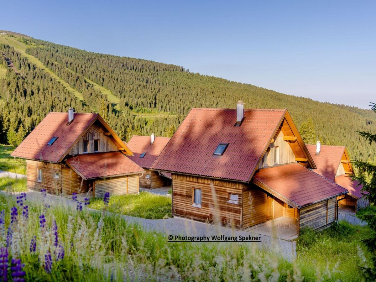 Ferienhaus Weinebene Außenaufnahme 7