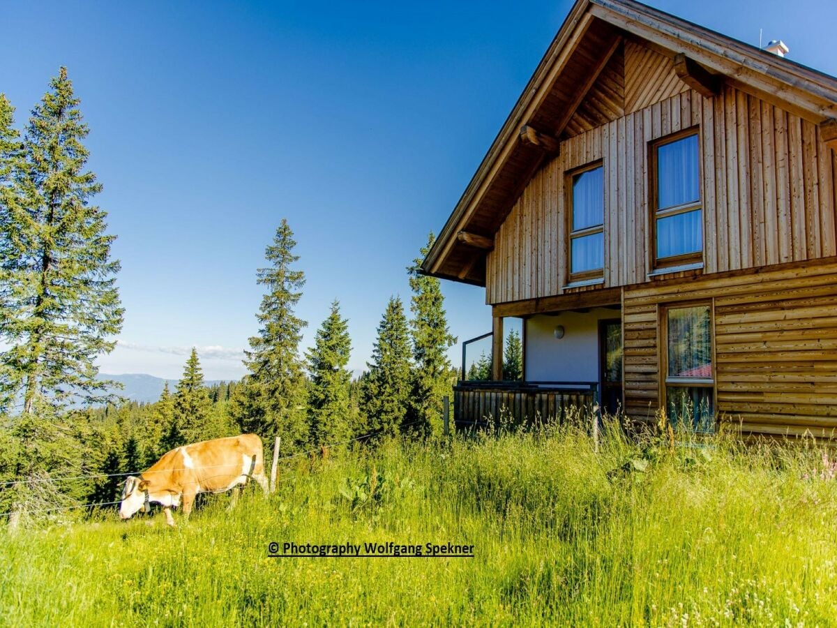 Ferienhaus Weinebene Außenaufnahme 14