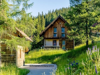 Ferienhaus Weinebene Außenaufnahme 7
