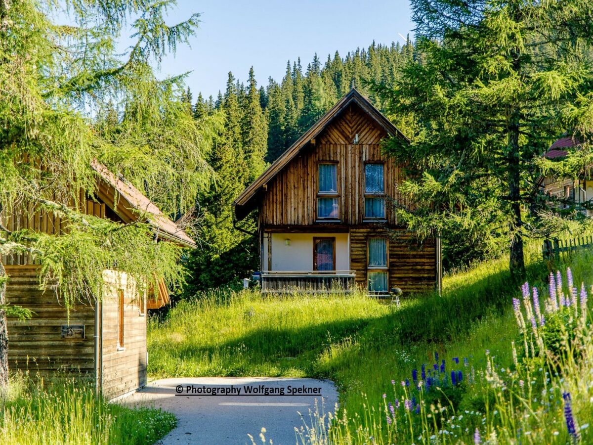 Ferienhaus Weinebene Außenaufnahme 8