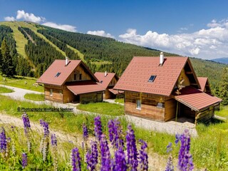 Ferienhaus Weinebene Außenaufnahme 8
