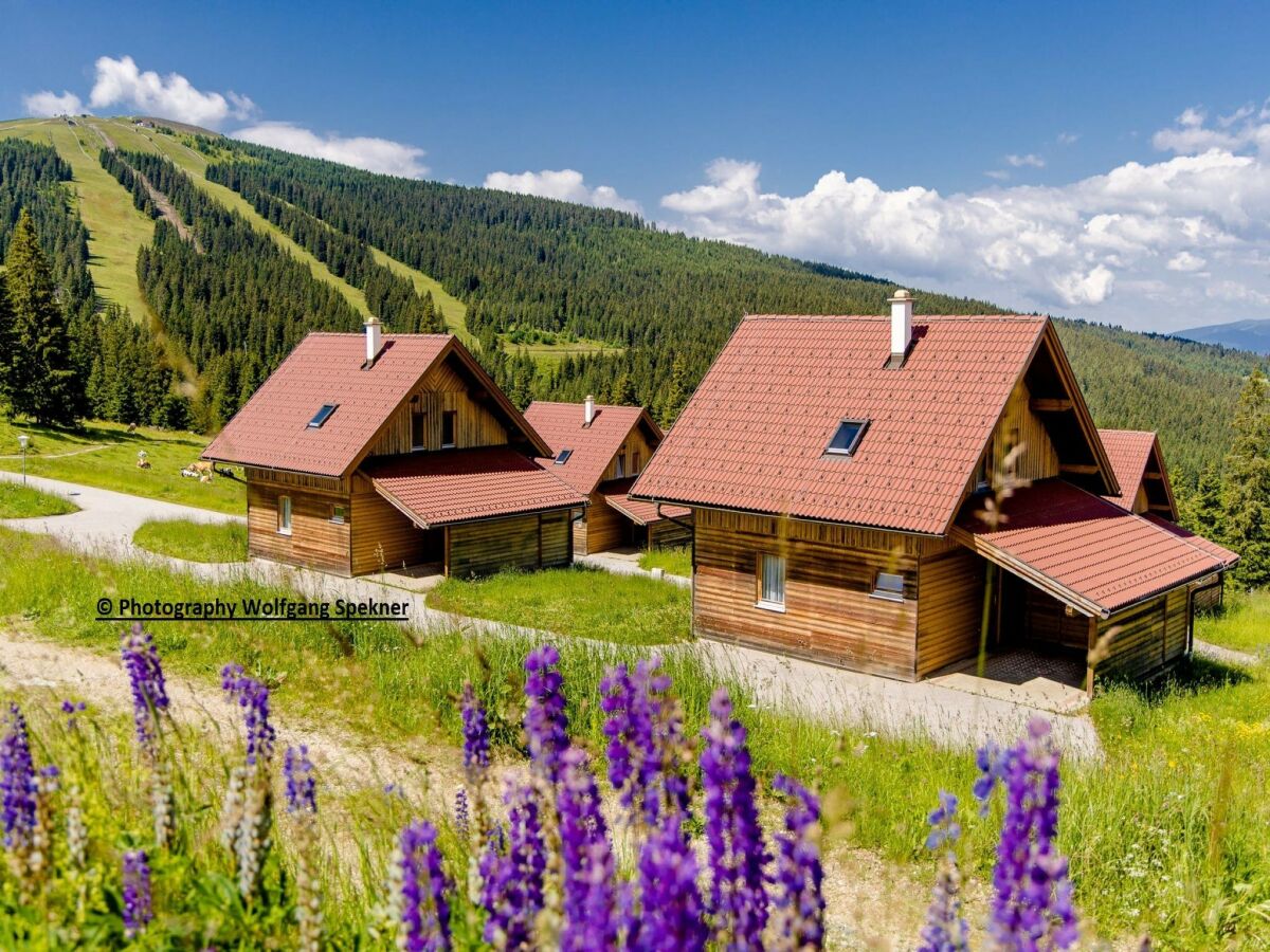 Ferienhaus Weinebene Außenaufnahme 9