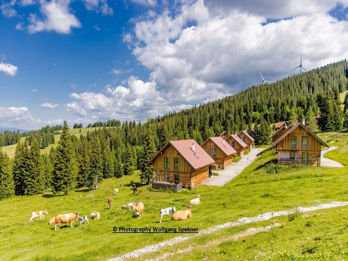 Ferienhaus Weinebene Außenaufnahme 1