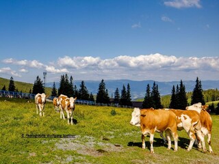 Casa per le vacanze Weinebene Ambiente 33