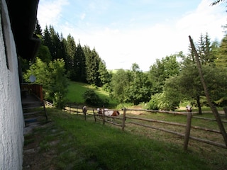 Chalet Prebl Außenaufnahme 10