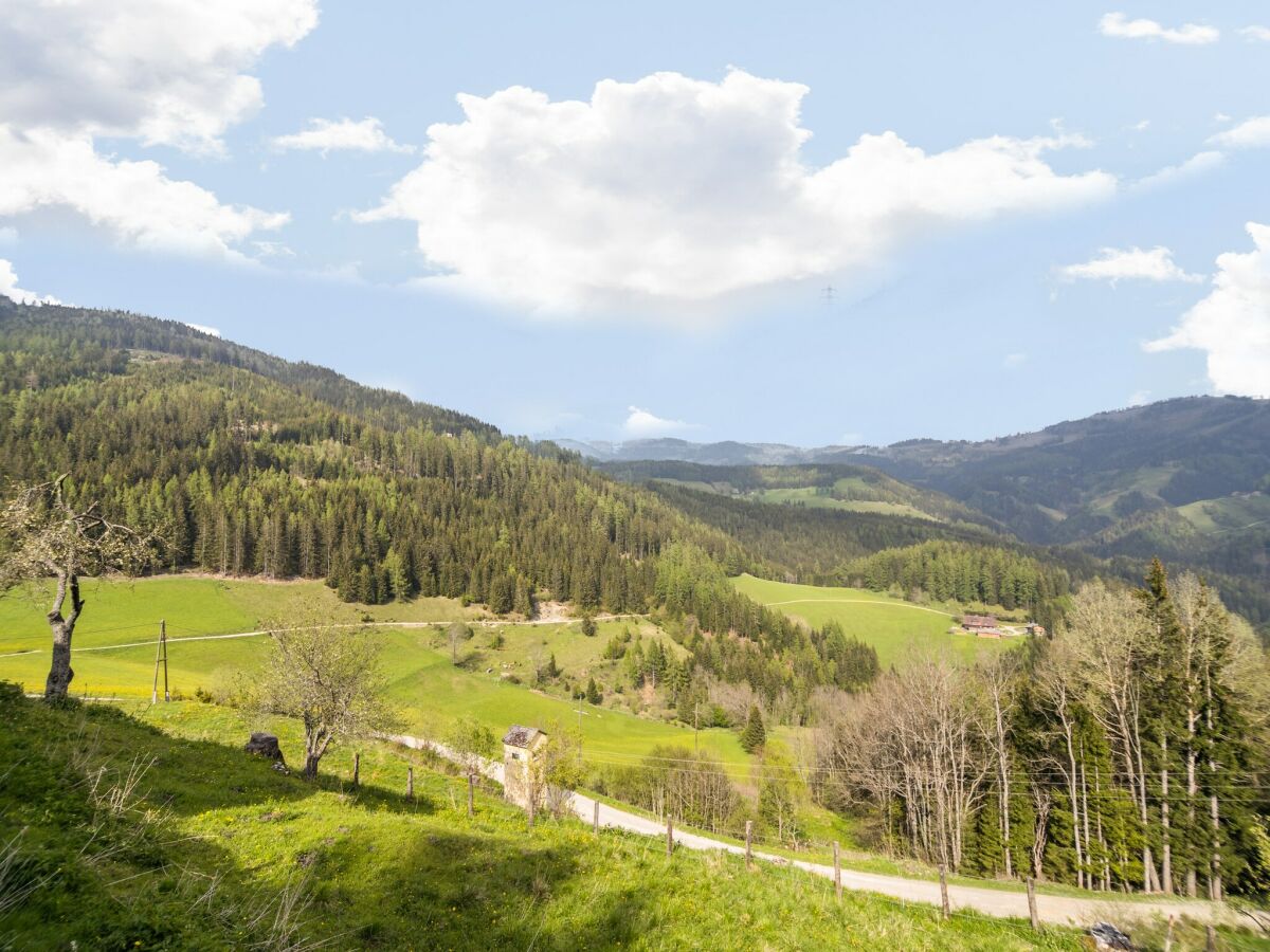 Ferienhaus Reichenfels Umgebung 34