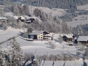 Apartment in Afritz am See/Kärnten nahe Skigebiet - Afritz am See - image1