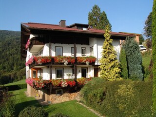 Apartment Afritz am See Outdoor Recording 4