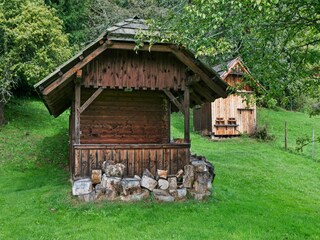 Appartement Arriach Buitenaudio-opname 9