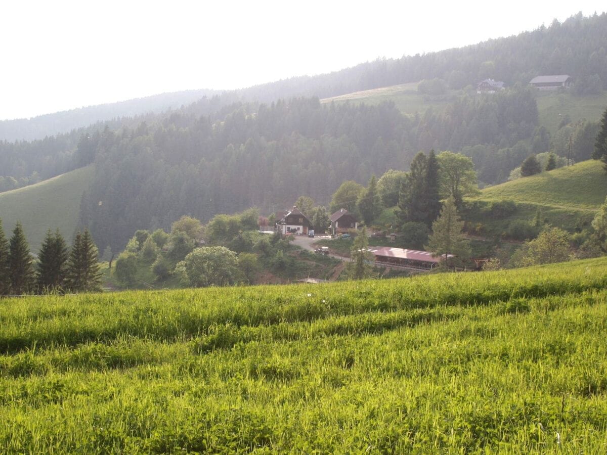 Apartment Liebenfels Außenaufnahme 1