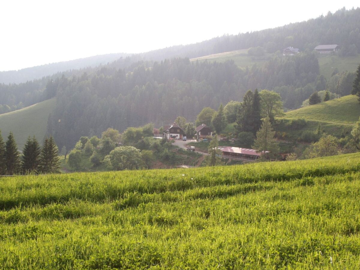 Apartment Liebenfels Outdoor Recording 1