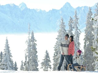 Appartement Steindorf Environnement 27