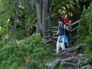Apartment Sonnenalpe Nassfeld Environment 21
